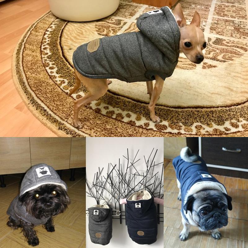 Colete de Inverno para Cachorros | Gentleman - Empire Woman's Life 