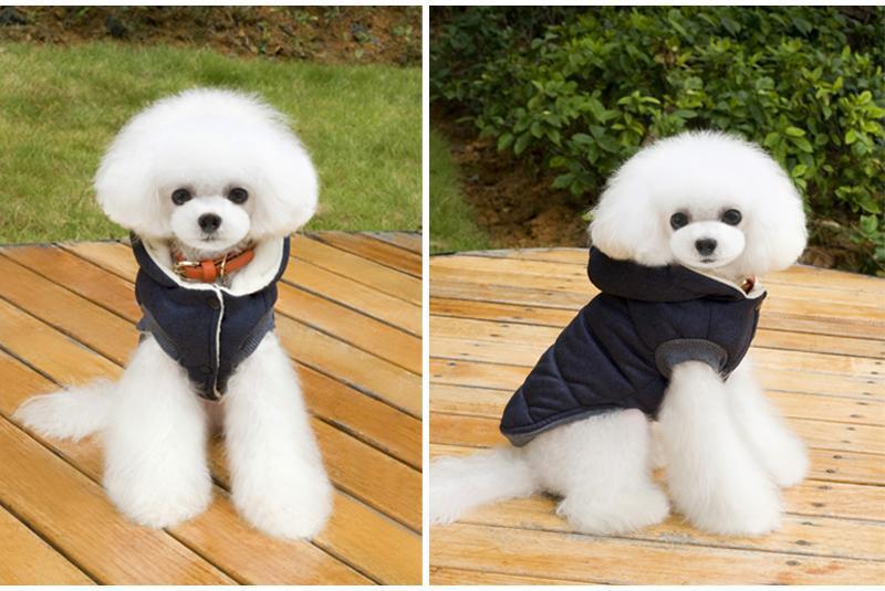 Colete de Inverno para Cachorros | Gentleman - Empire Woman's Life 