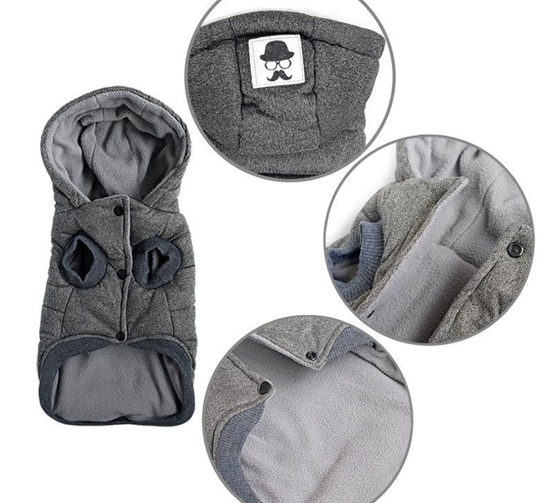 Colete de Inverno para Cachorros | Gentleman - Empire Woman's Life 